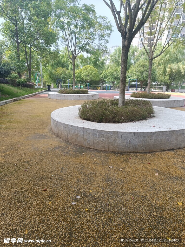 公园中的圆形花坛景观