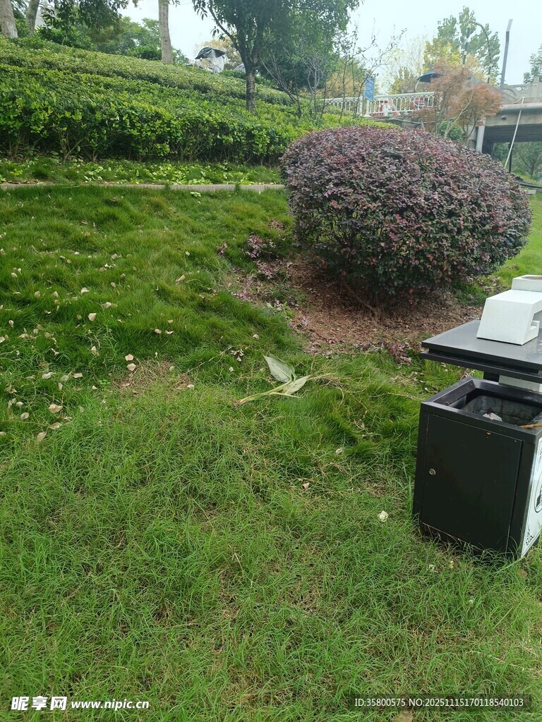 户外草坪景观与绿植