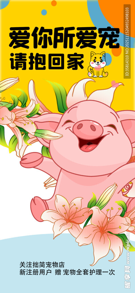 可爱小猪欢迎回家插画