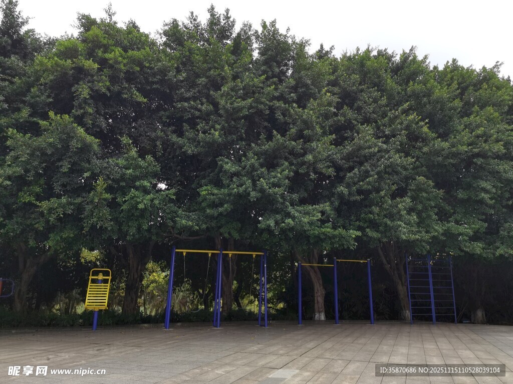 户外绿树环绕的休闲场地