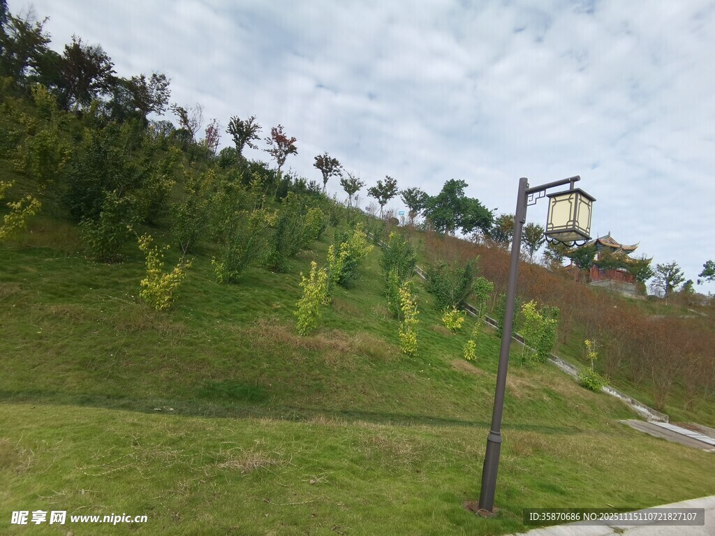 户外绿意盎然的景观小路