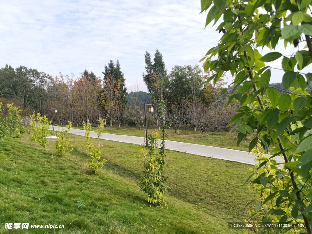 郊外绿意盎然的自然小径