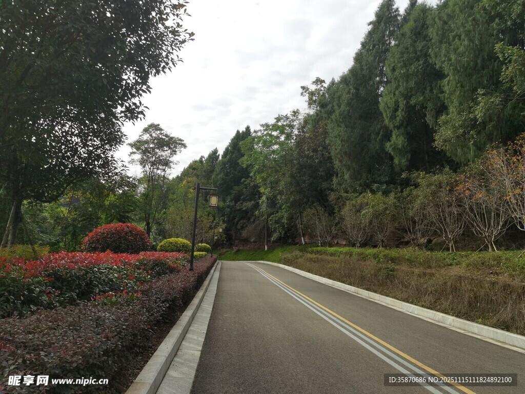 林间公路自然风光宜人