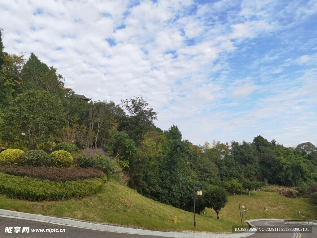 蜿蜒公路旁的葱郁山林