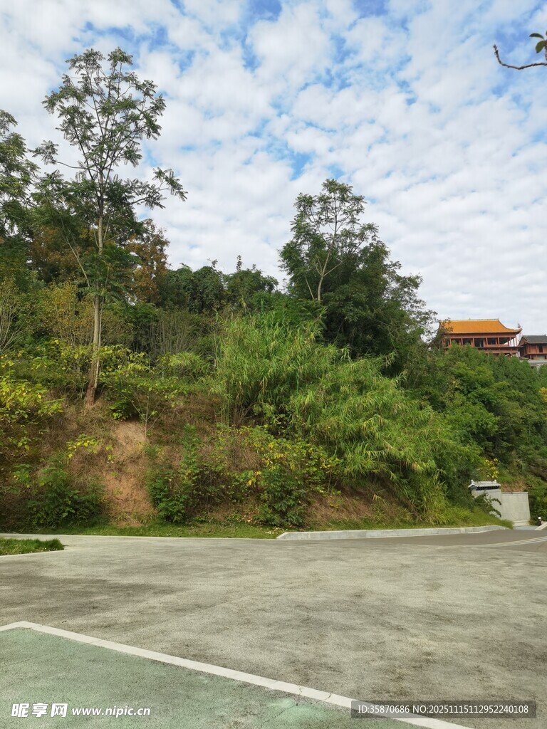 户外空旷场地与绿植景观