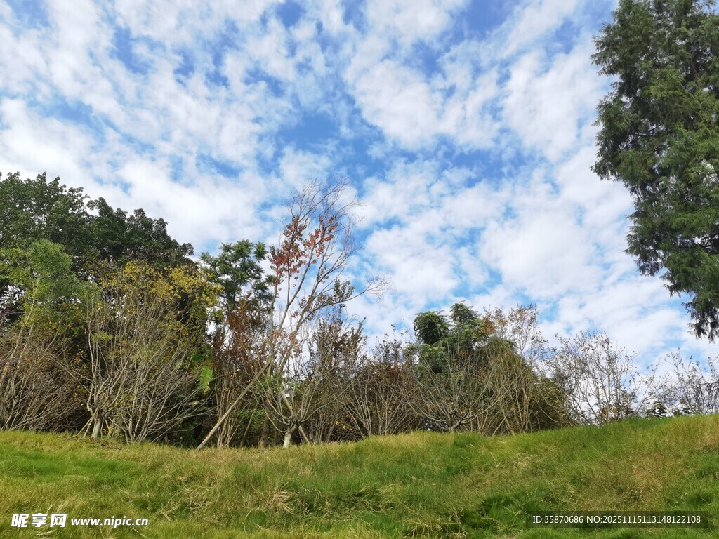 蓝天白云下的绿意山林