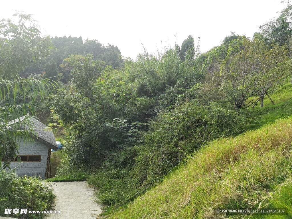 山间小径旁的小屋与绿植