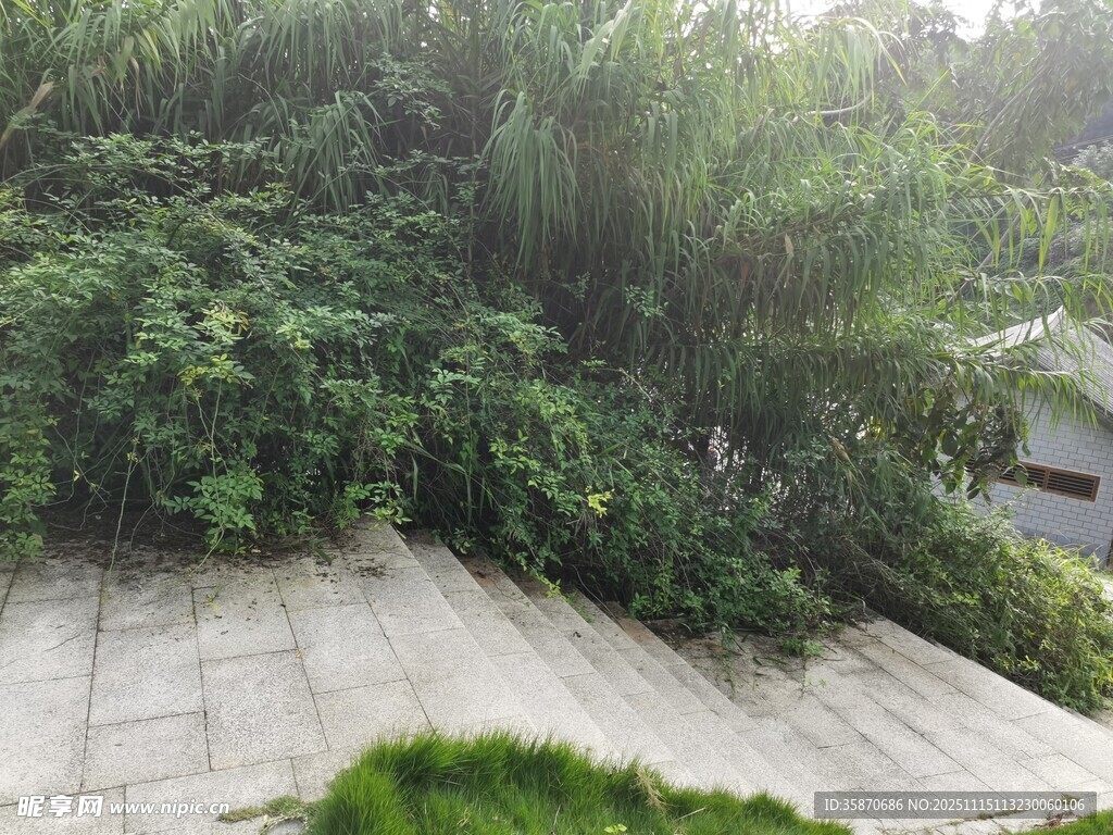 户外绿植环绕的石板区域