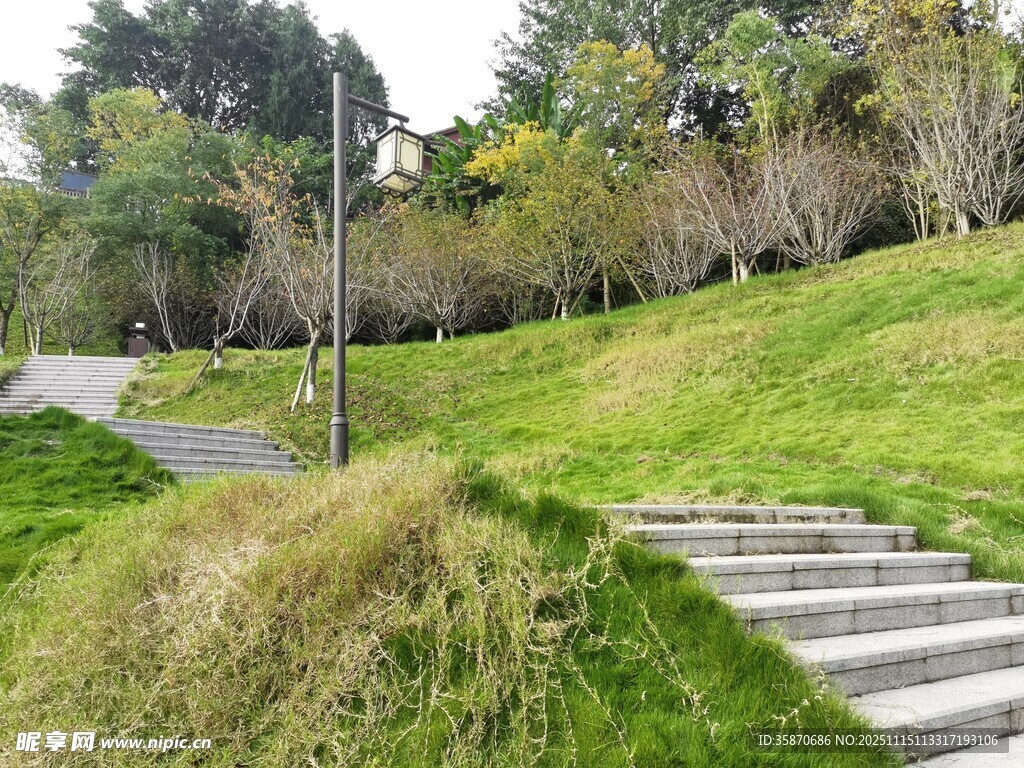 绿意盎然的户外步道景观