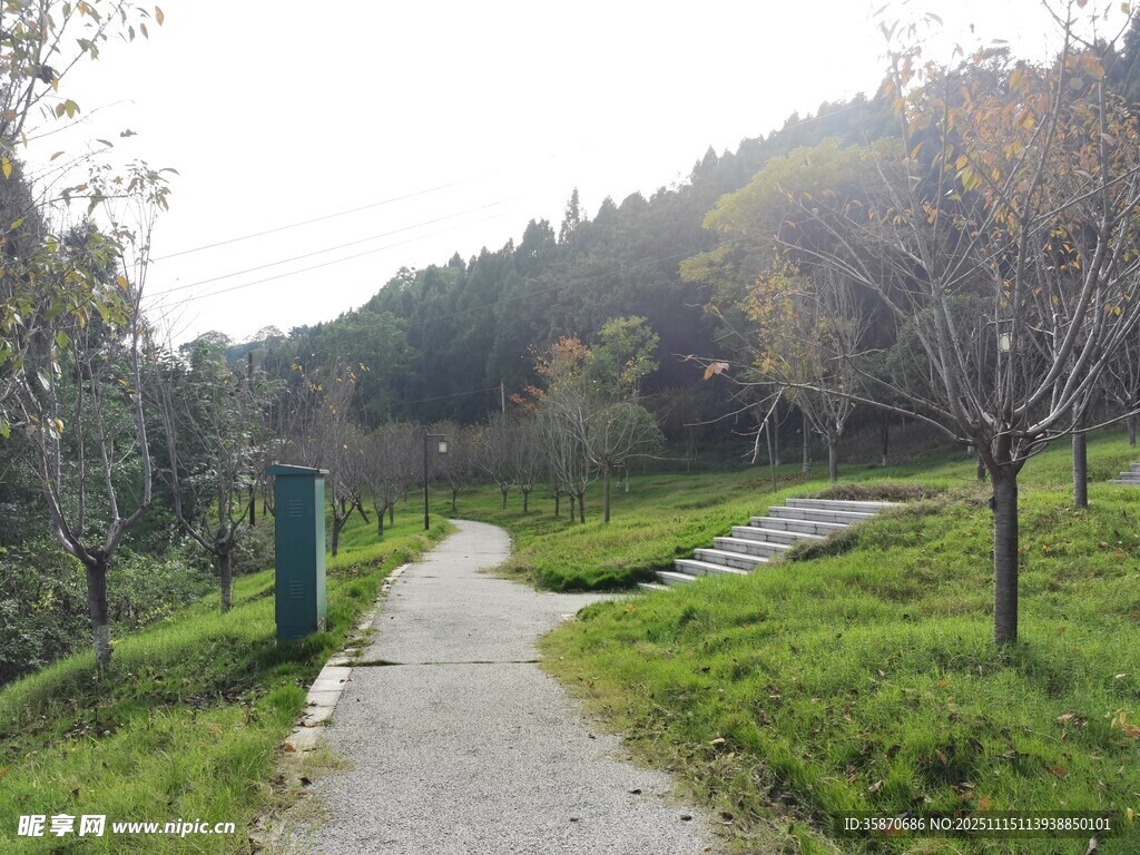 山间幽静小路绿意盎然