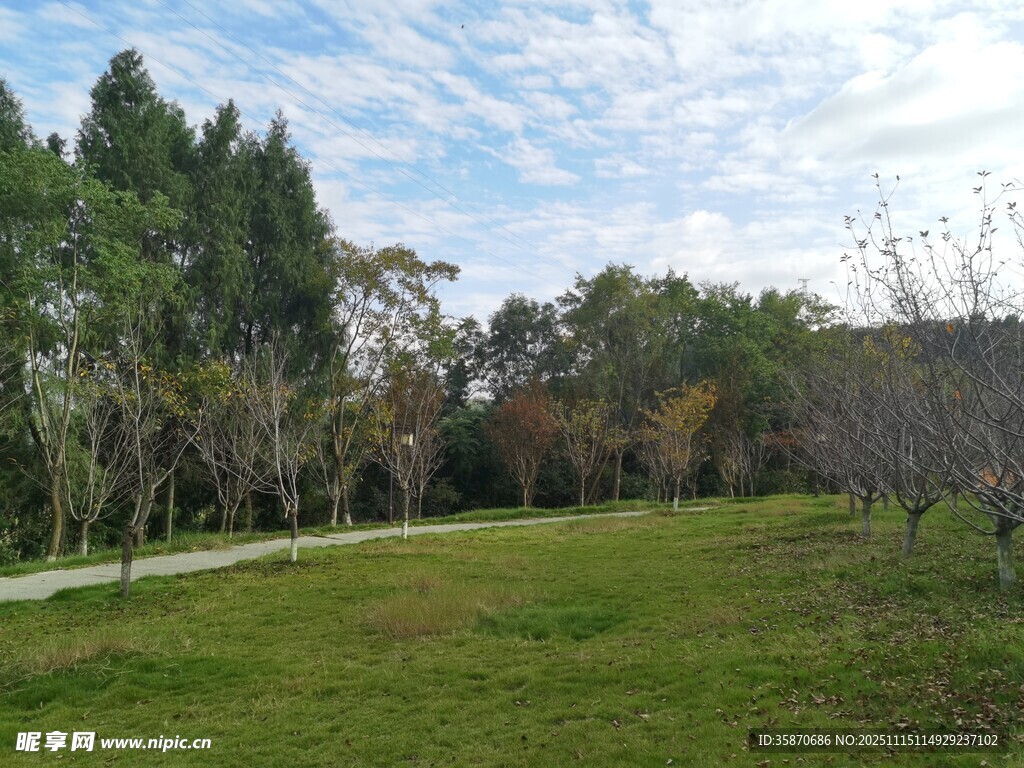 郊外绿意盎然的开阔草地
