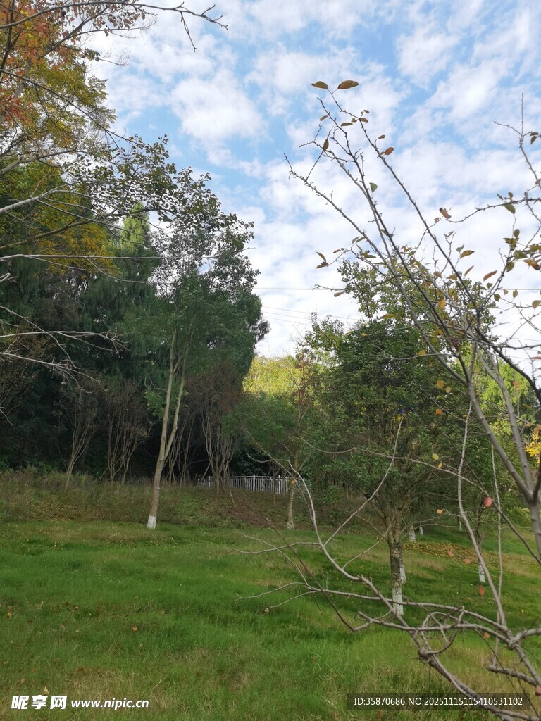 郊外绿意盎然的自然景致