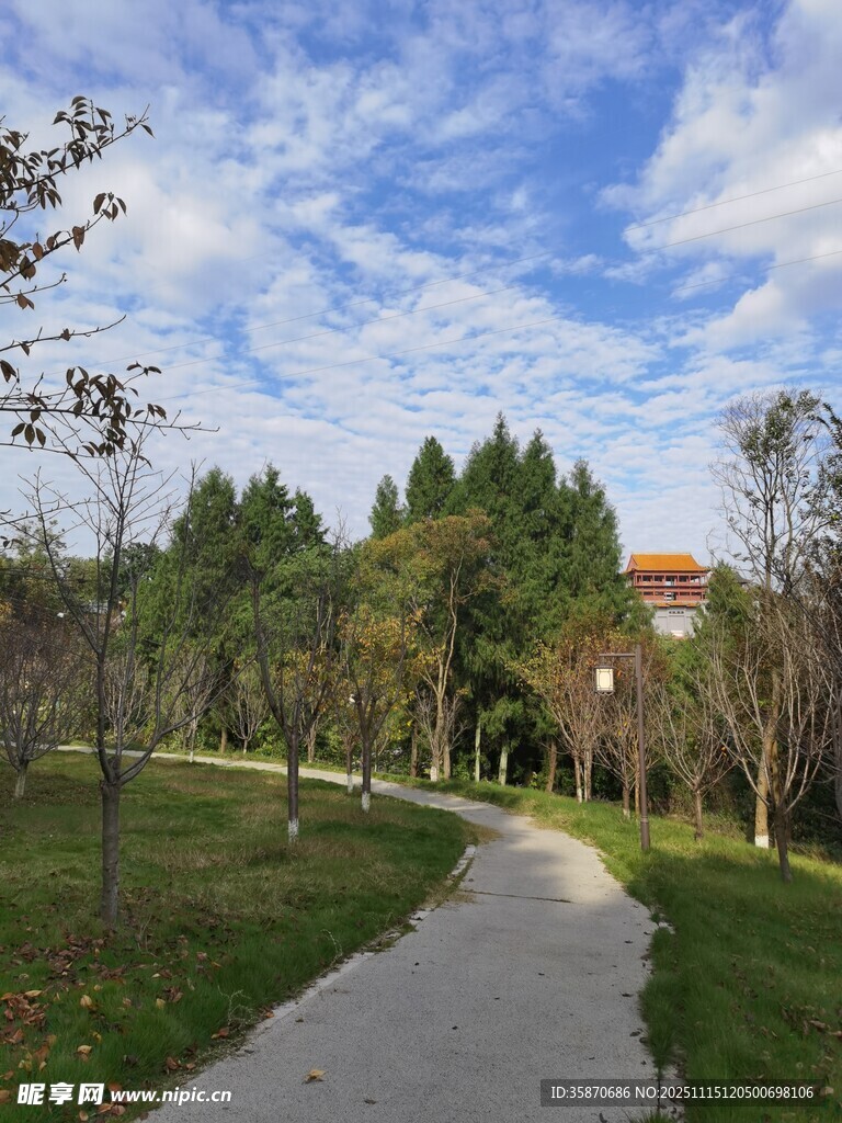 林间小径自然风光宜人