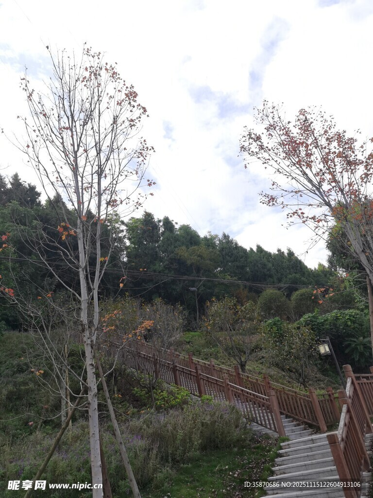 山间步道自然景致