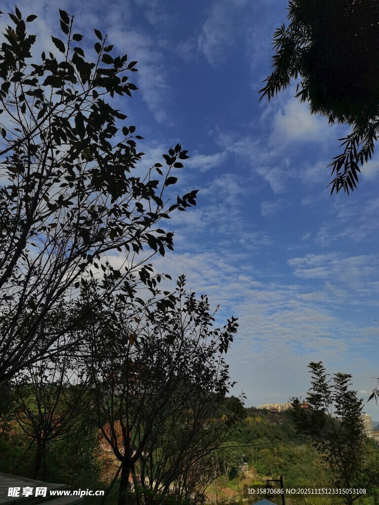 蓝天绿树间的自然景致