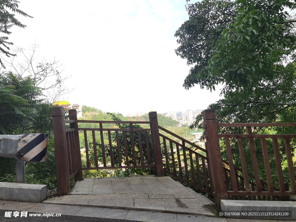 木质桥通往绿意盎然景致