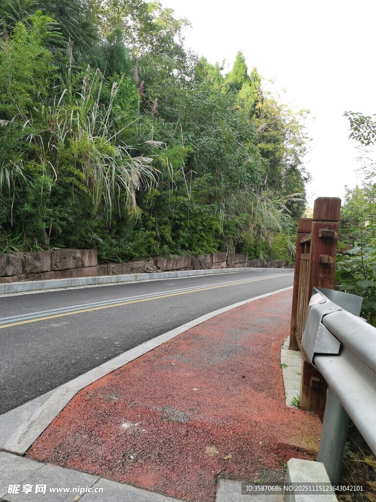 路边的护栏与绿植景观