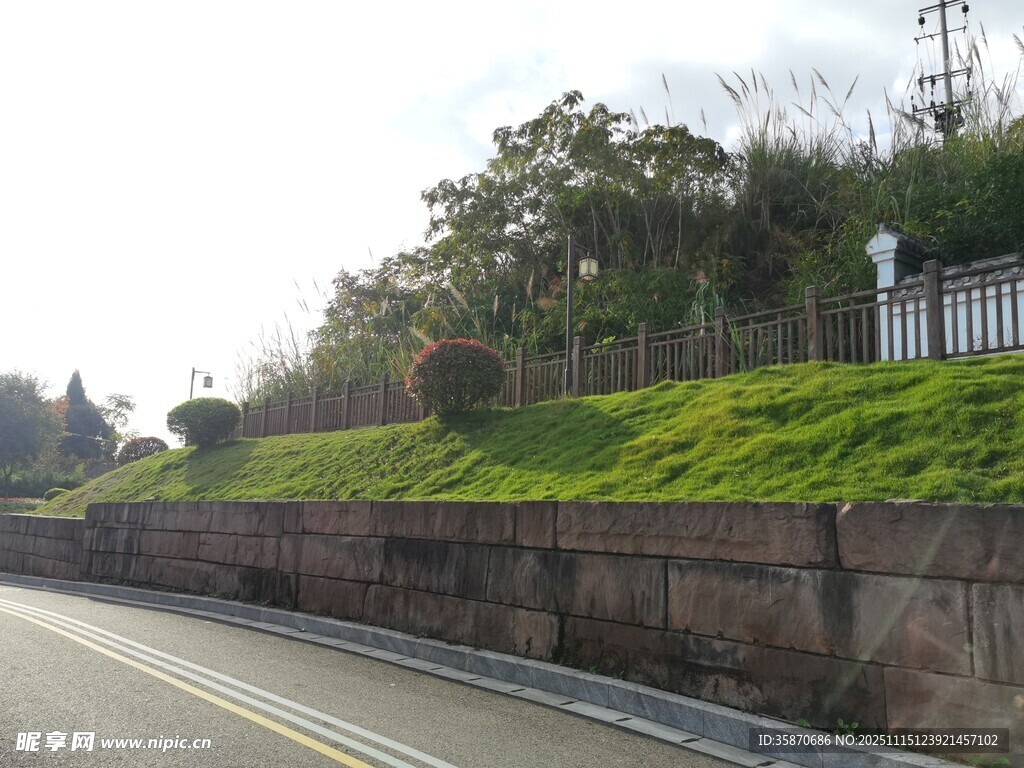 公路旁绿意盎然的护坡