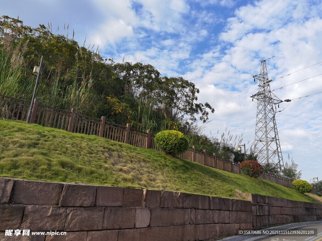 公路旁绿意盎然的山坡