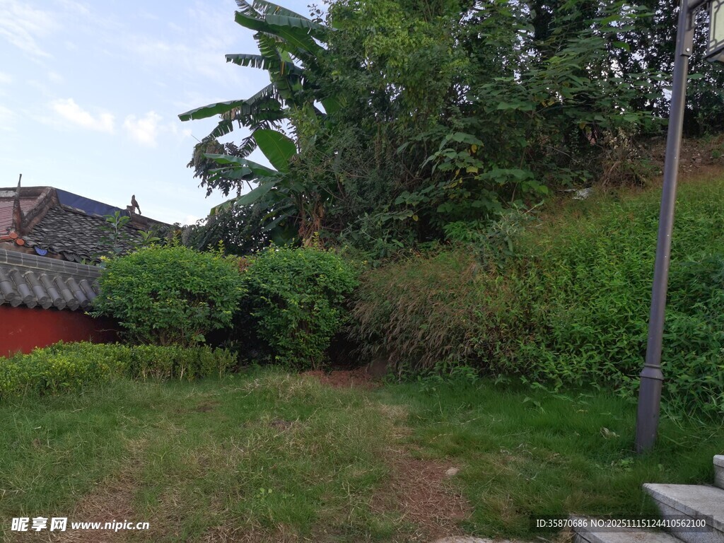 乡村庭院绿植环绕景致