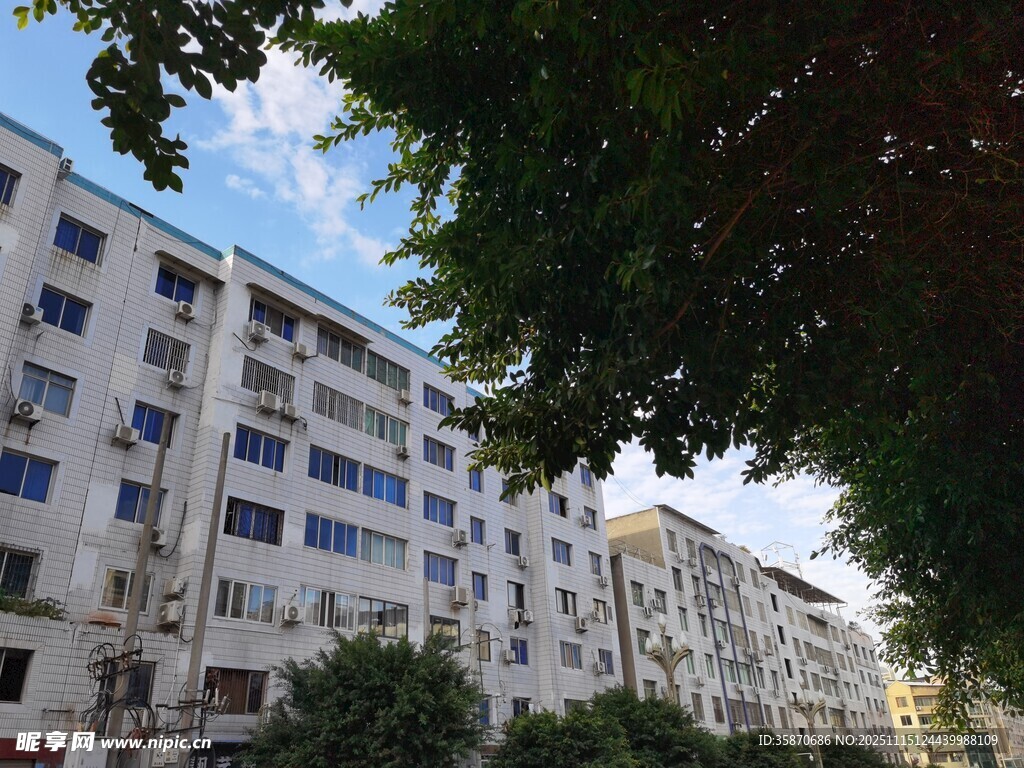 城市居民楼与绿树景观