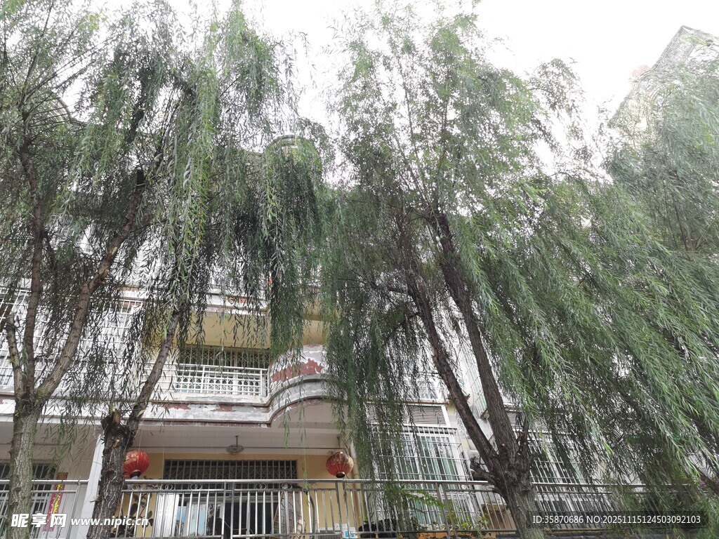 雨中垂柳下的建筑景象