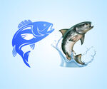 跃起的鱼 