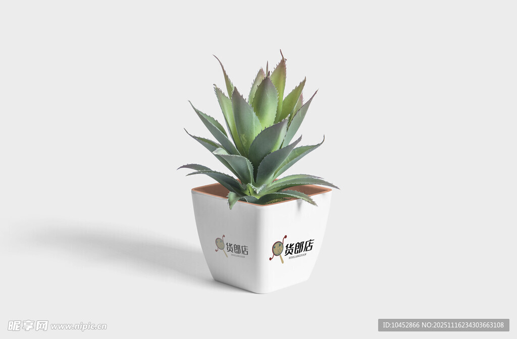 白色花盆中的芦荟植物样机