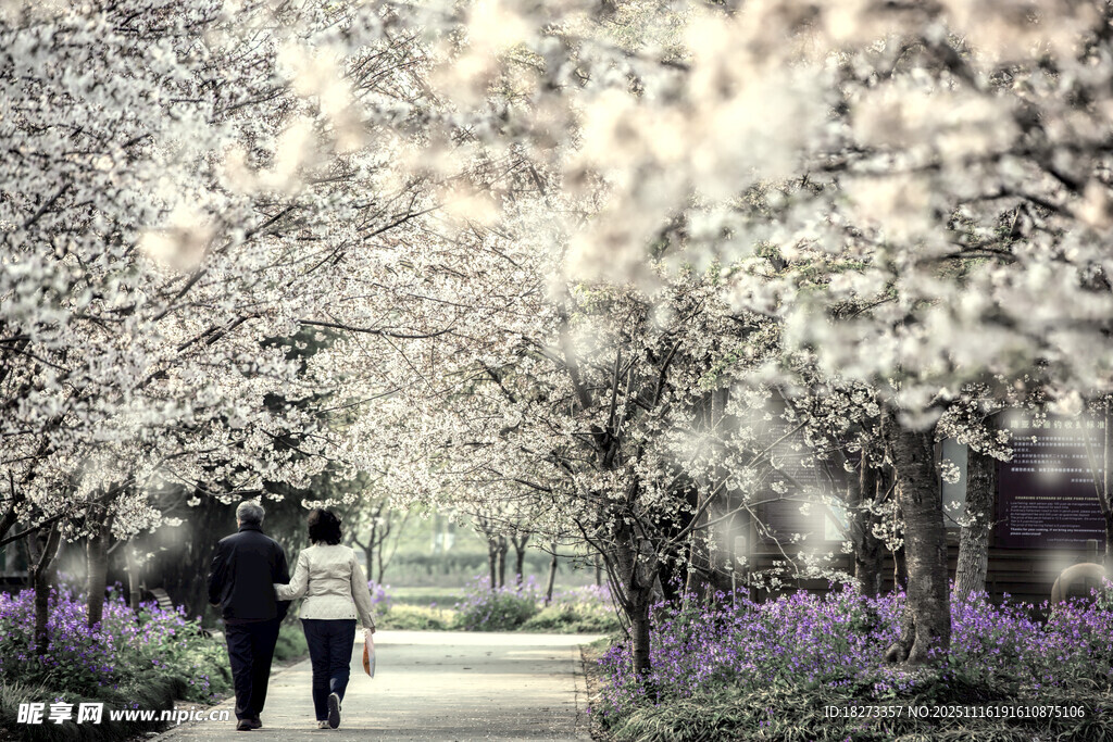 漫步繁花小径的浪漫身影