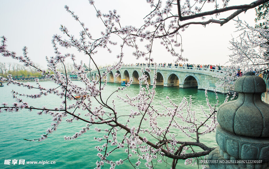 春日湖畔拱桥与绽放花枝