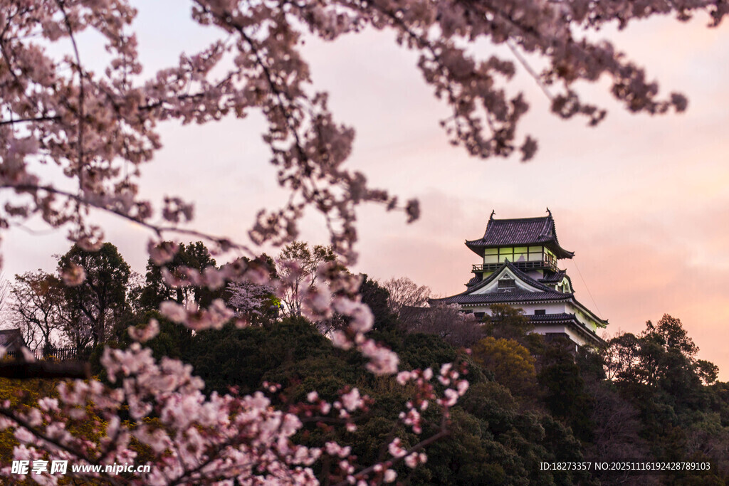樱花映衬下的古老城堡