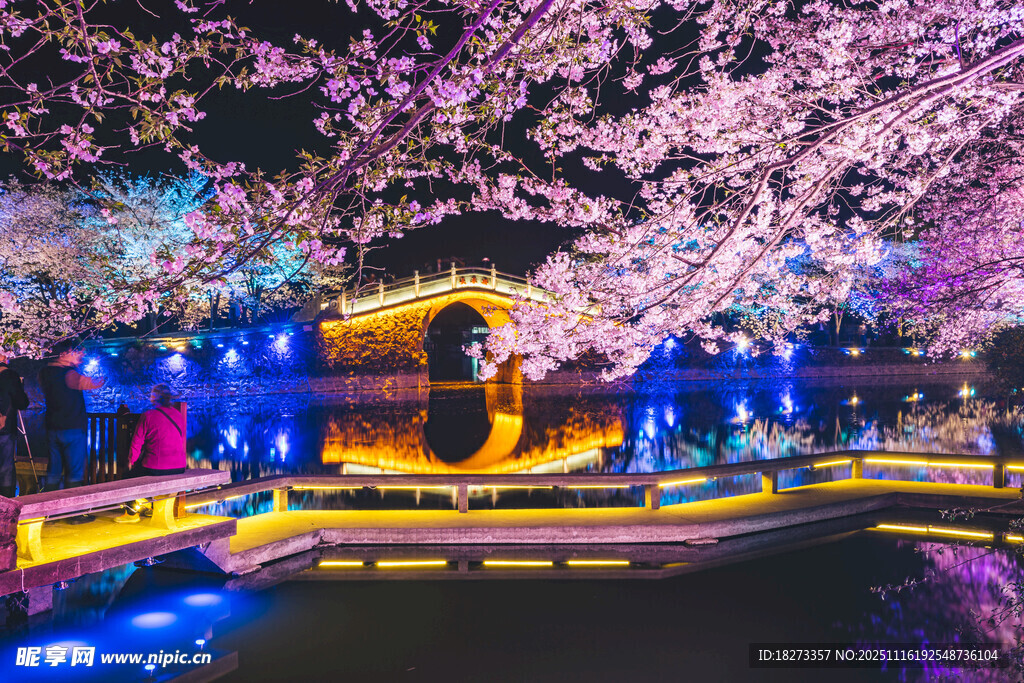 夜赏烂漫樱花下的古典建筑