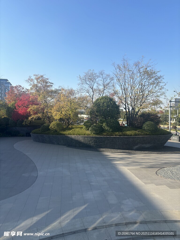 户外道路旁的秋日景致