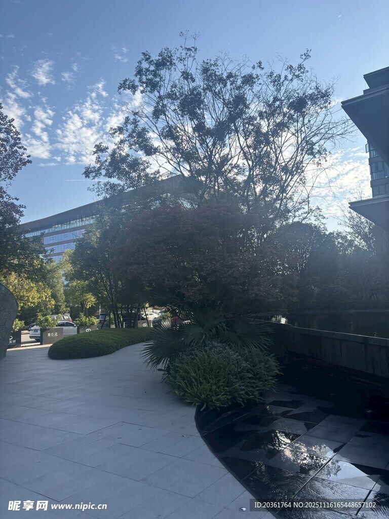 城市中静谧的绿植景观