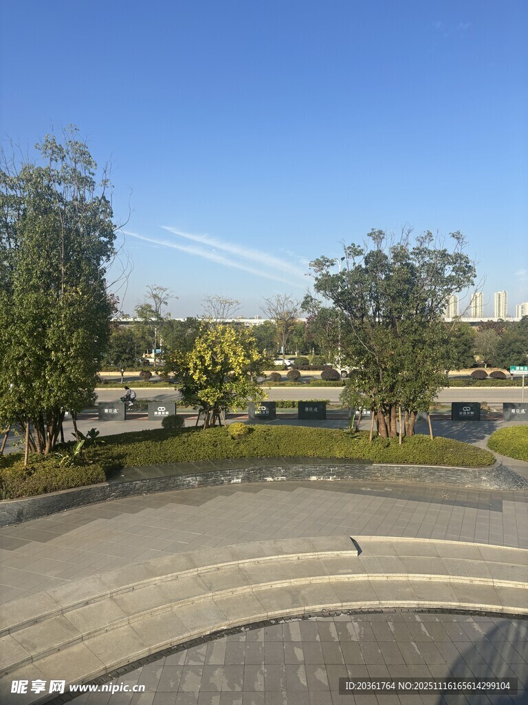 俯瞰户外绿化道路景观