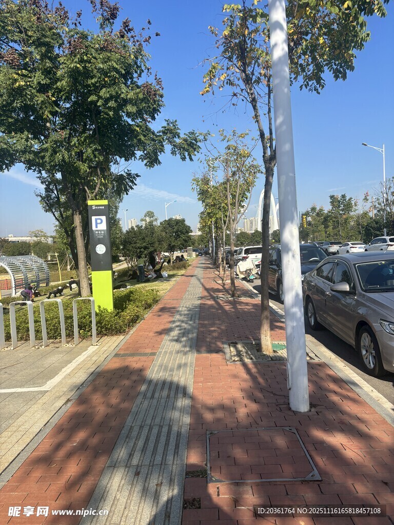 城市人行道旁的停车景象