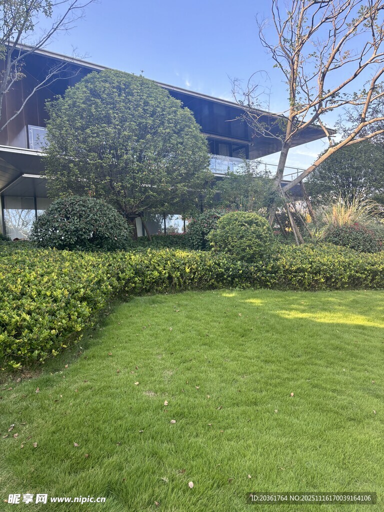 现代庭院绿意盎然草坪景观