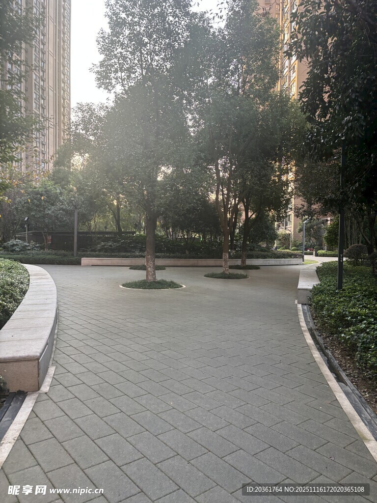 阳光洒落的宁静小区步道