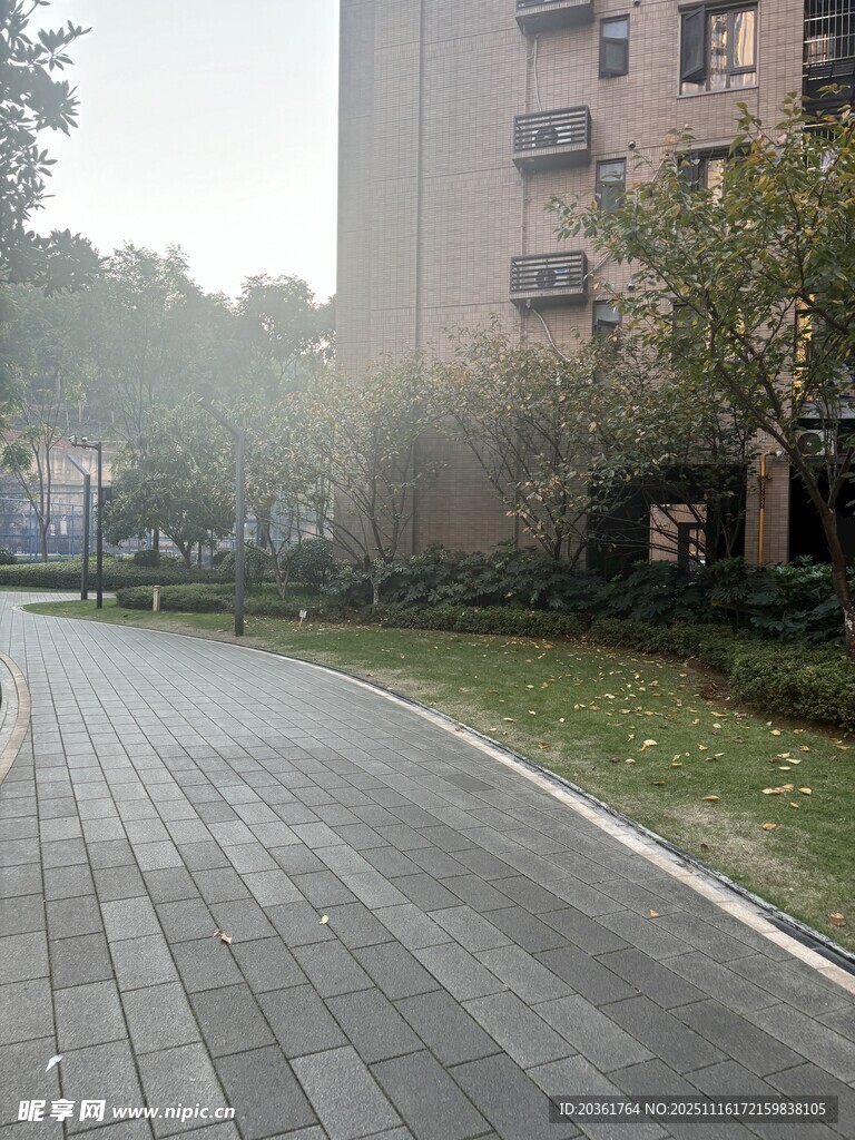 小区清晨的宁静林荫步道