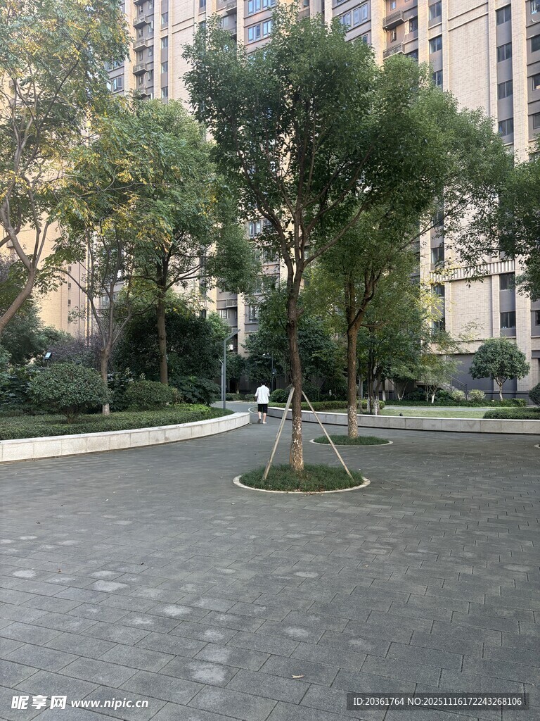 小区内的绿化景观道路