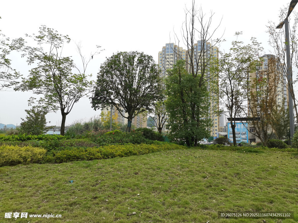 城市中的绿意公园角落