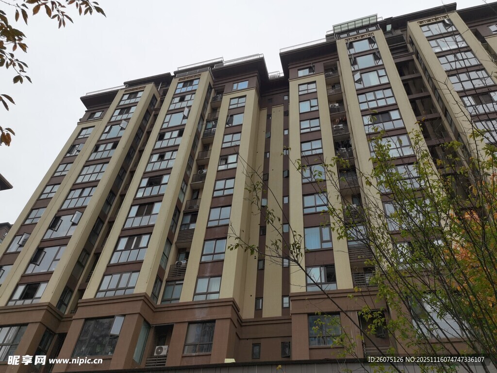 高层住宅楼外观景致