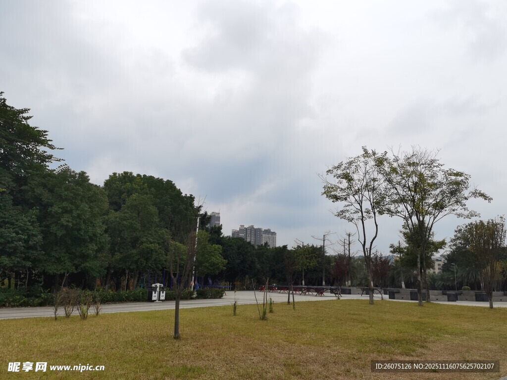 户外开阔草地与树木景观