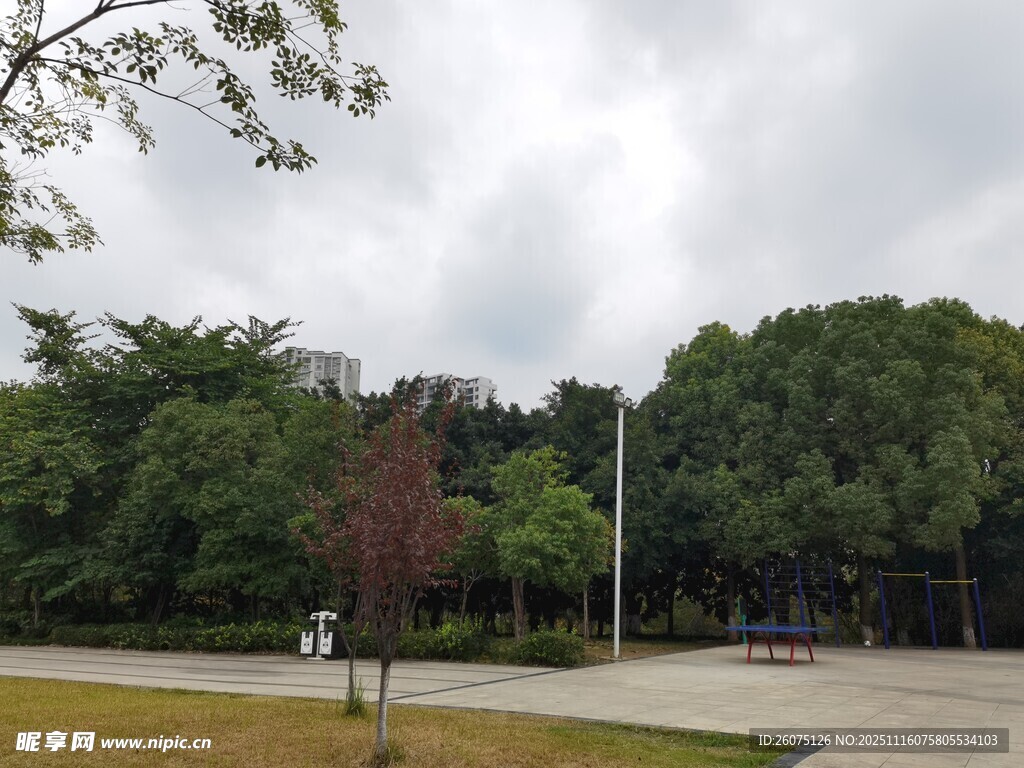 户外公园的开阔景致