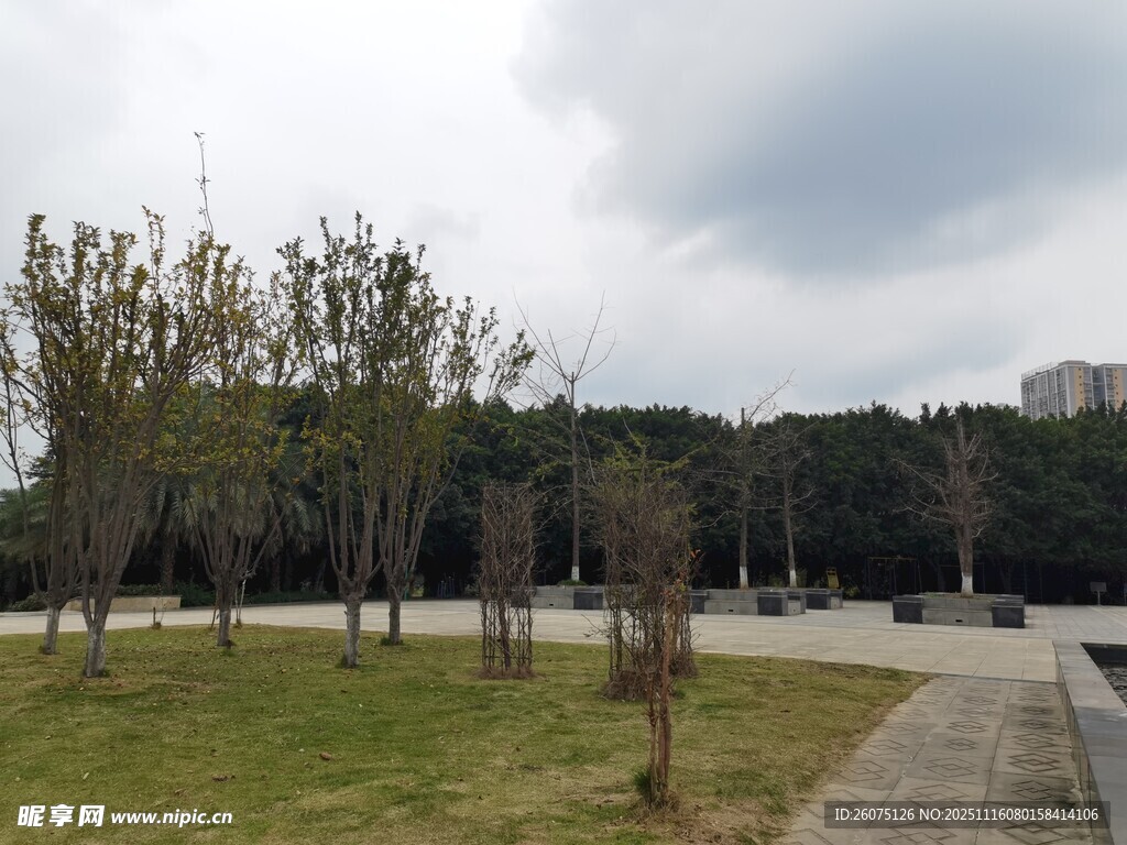 户外开阔的园林风景