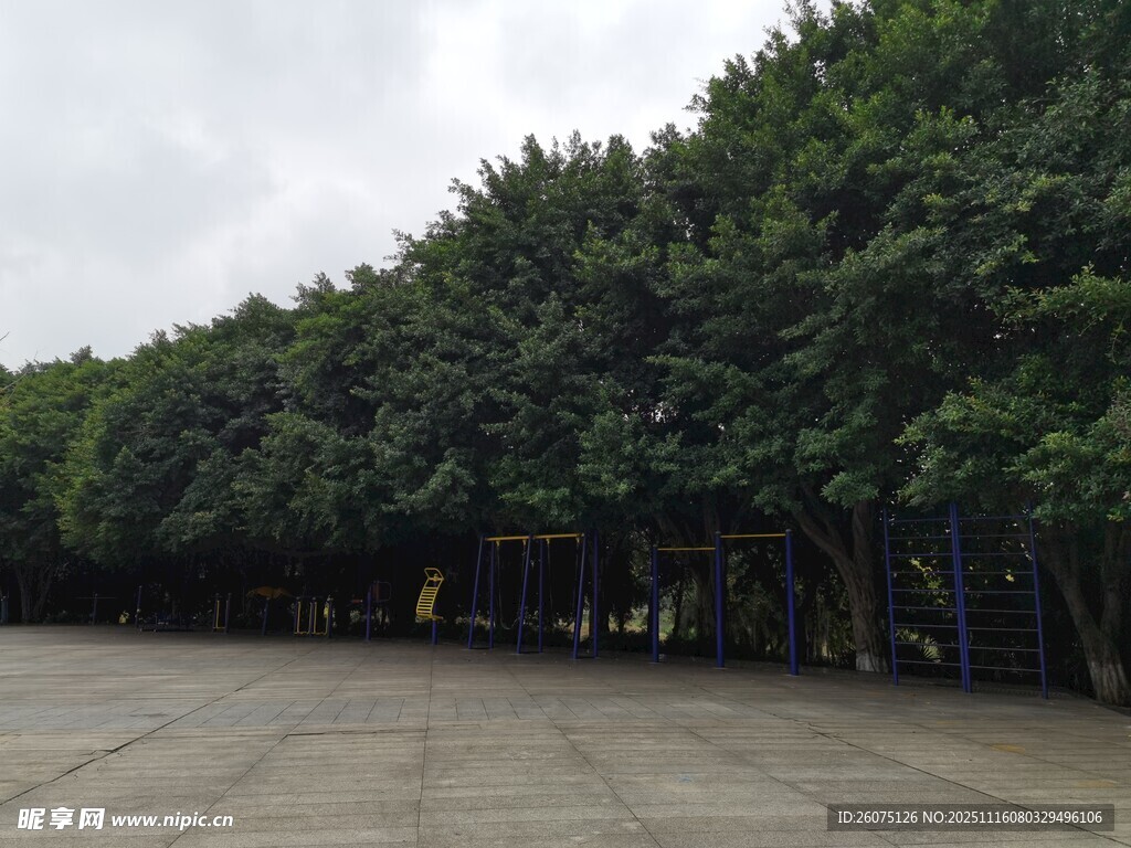 林荫下的开阔广场