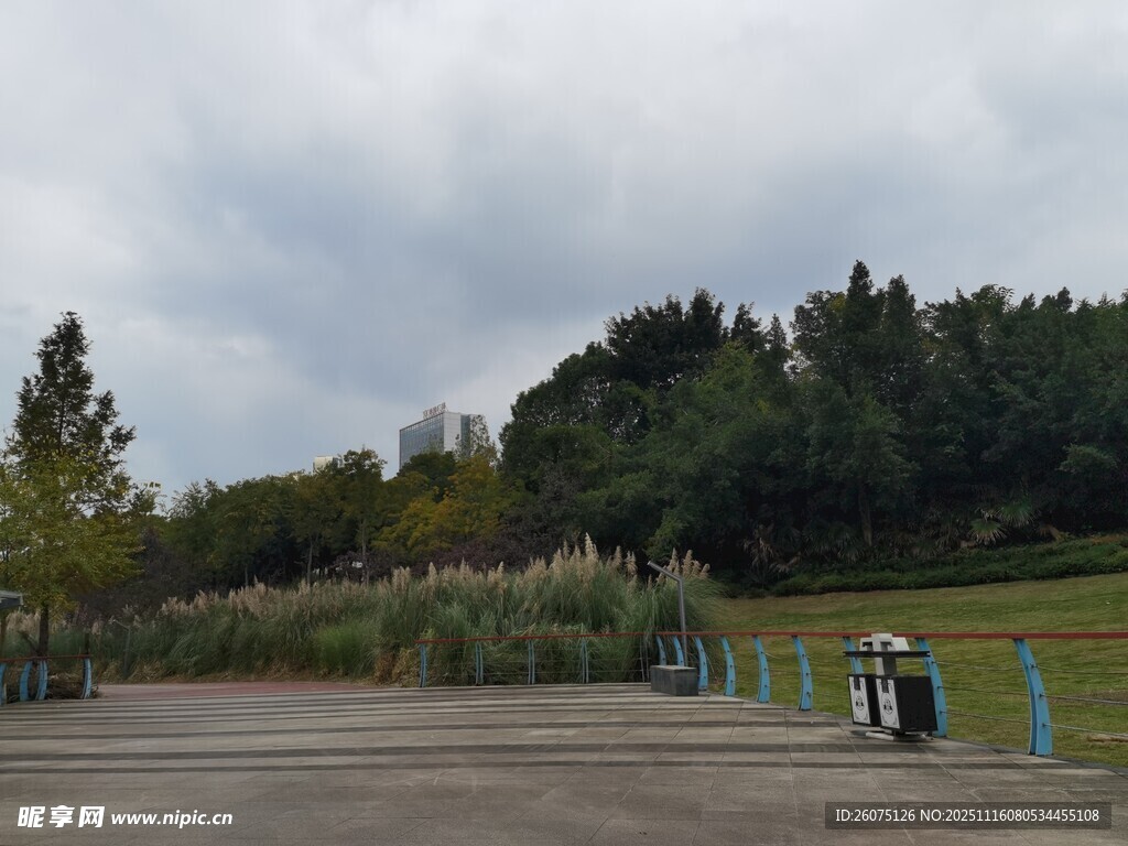 户外开阔场地与绿植景观