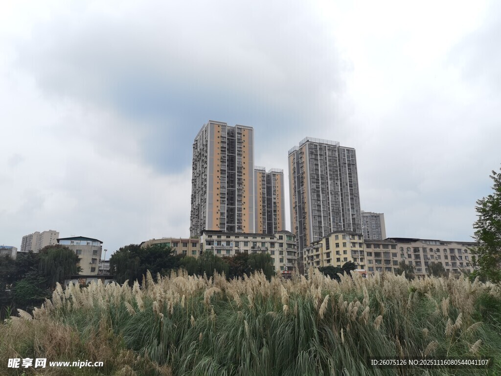 城市高楼与前景绿植景观