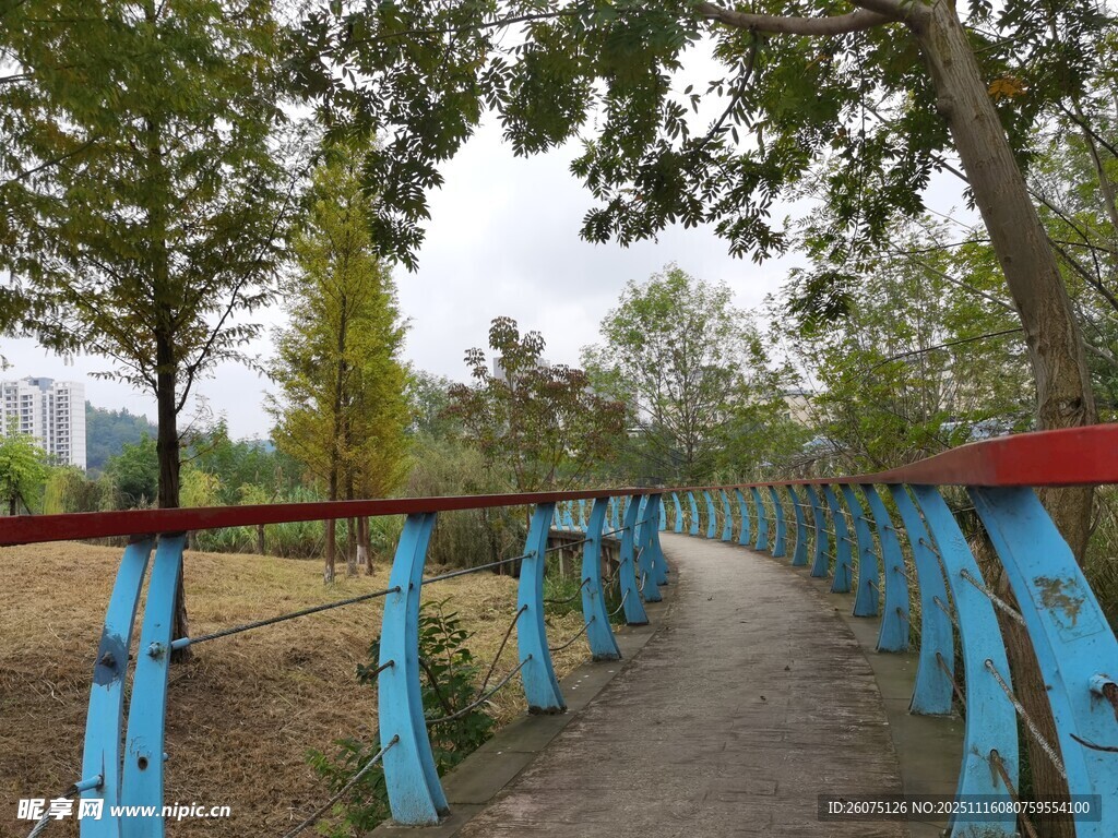 公园彩色栏杆小路风景