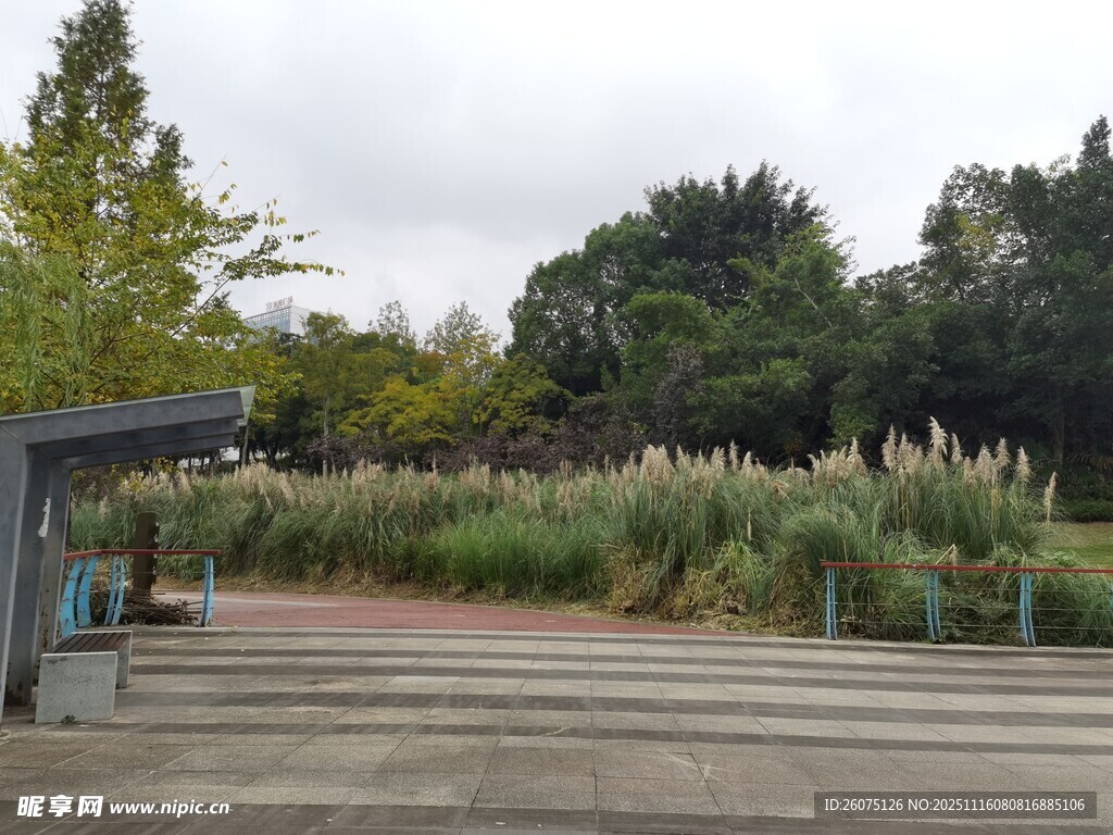 户外静谧的绿植景观区域